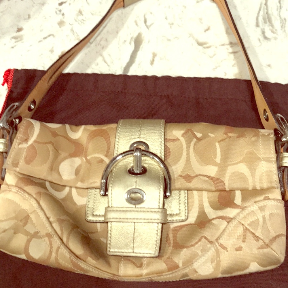 Small Gold Coach Bag